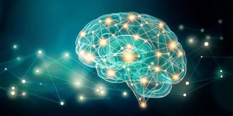 Aphantasia linked to abnormal brain responses to imagined and observed actions